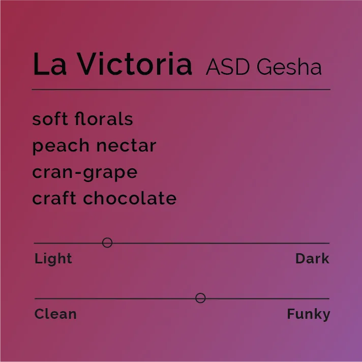 La Victoria ASD Gesha — product reference supplied with the Black & White Coffee Roasters listing.