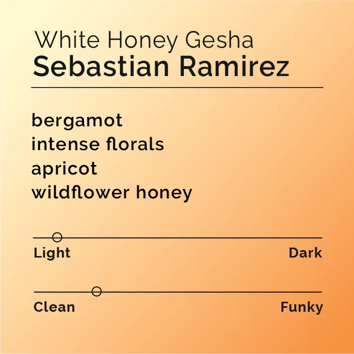 Sebastian Ramirez - White Honey Gesha — product reference supplied with the Black & White Coffee Roasters listing.