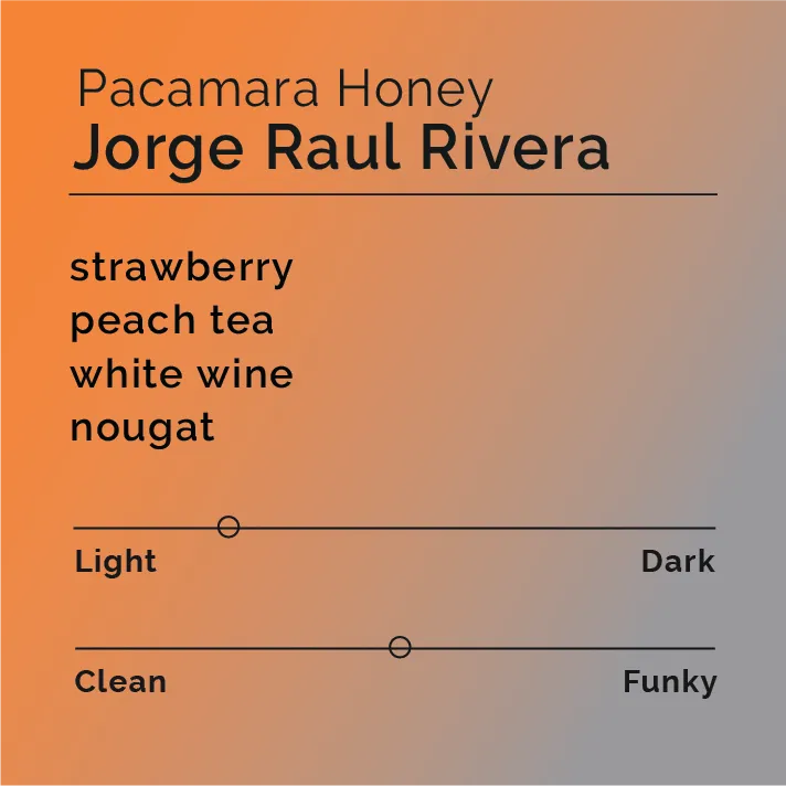 Jorge Raul Rivera - Pacamara Honey — product reference supplied with the Black & White Coffee Roasters listing.