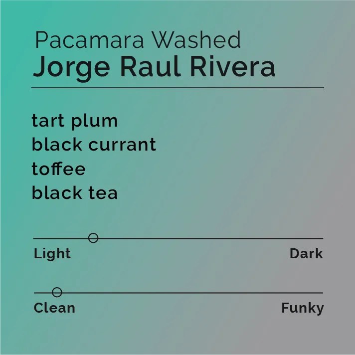 Jorge Raul Rivera - Pacamara Washed — product reference supplied with the Black & White Coffee Roasters listing.