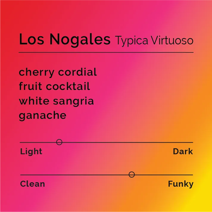 Los Nogales - Typica Virtuoso — product reference supplied with the Black & White Coffee Roasters listing.