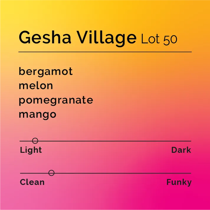 Gesha Village - Lot 50 — product reference supplied with the Black & White Coffee Roasters listing.