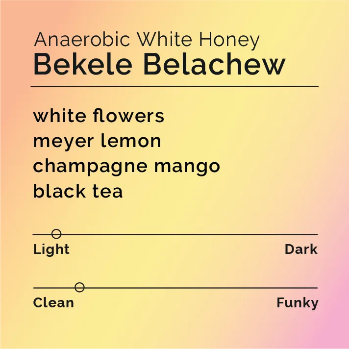 Bekele Belachew - Anaerobic White Honey — product reference supplied with the Black & White Coffee Roasters listing.