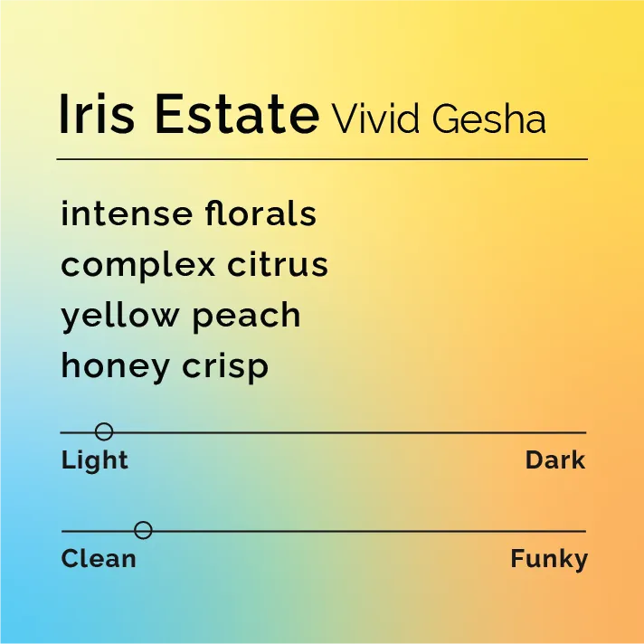Iris Estate - Vivid Gesha — product reference supplied with the Black & White Coffee Roasters listing.