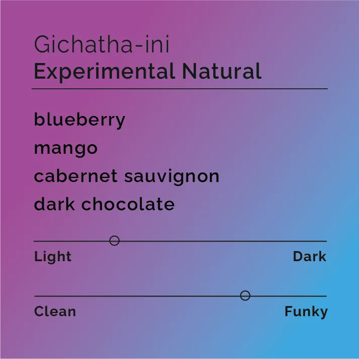 Gichatha-ini - Experimental Natural — product reference supplied with the Black & White Coffee Roasters listing.