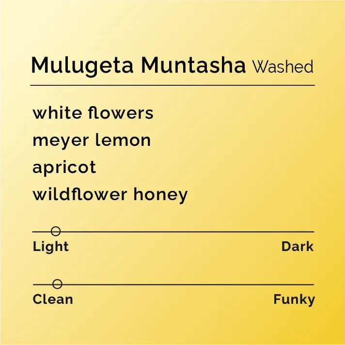 Mulugeta Muntasha - Washed — product reference supplied with the Black & White Coffee Roasters listing.