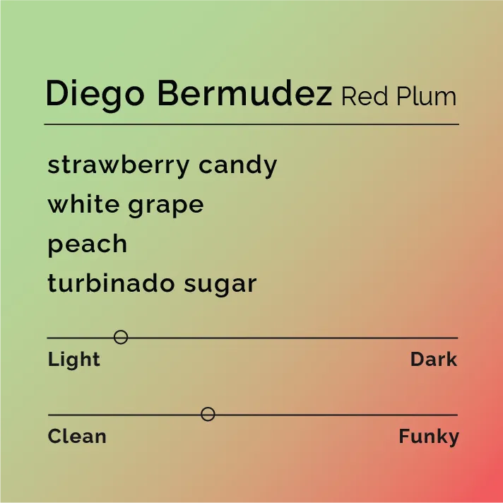 Diego Bermudez - Red Plum — product reference supplied with the Black & White Coffee Roasters listing.
