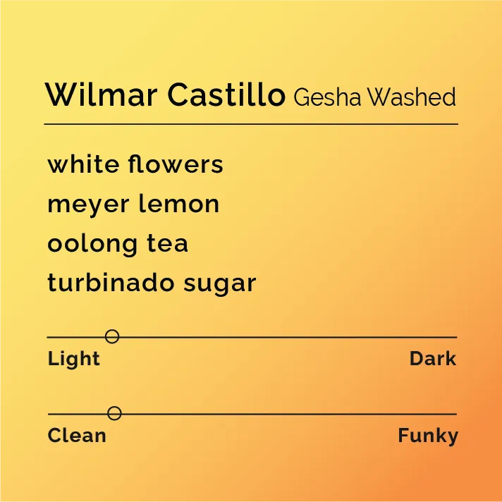 Wilmar Castillo - Gesha Washed — product reference supplied with the Black & White Coffee Roasters listing.