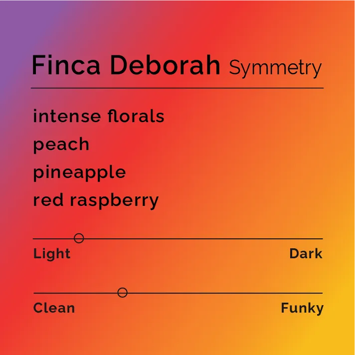 Finca Deborah - Symmetry — product reference supplied with the Black & White Coffee Roasters listing.