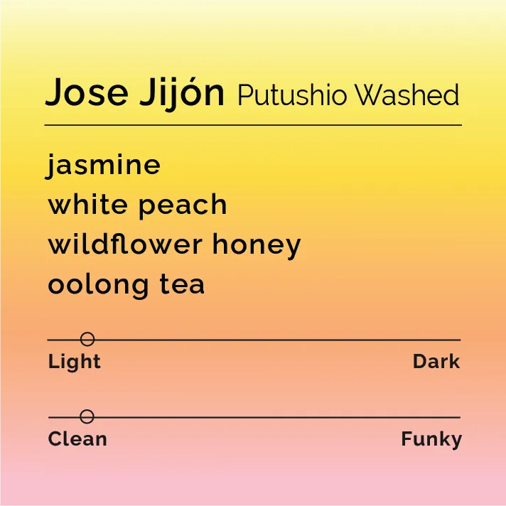 Jose Jijón - Putushio Washed — product reference supplied with the Black & White Coffee Roasters listing.