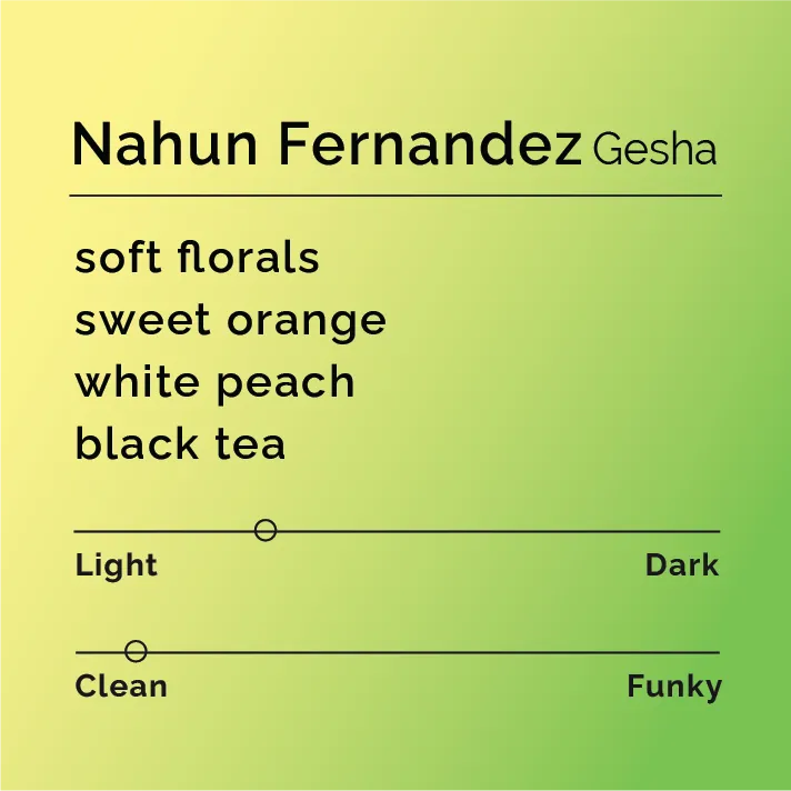 Nahun Fernandez - Gesha — product reference supplied with the Black & White Coffee Roasters listing.