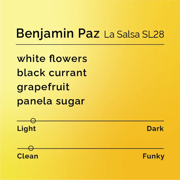 Benjamin Paz - La Salsa SL28 — product reference supplied with the Black & White Coffee Roasters listing.
