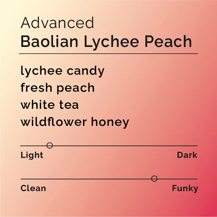 Baolian Lychee Peach - Advanced — product reference supplied with the Black & White Coffee Roasters listing.
