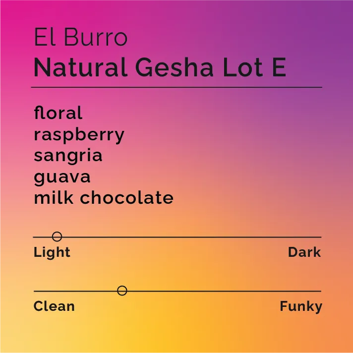 El Burro - Natural Gesha Lot E — product reference supplied with the Black & White Coffee Roasters listing.