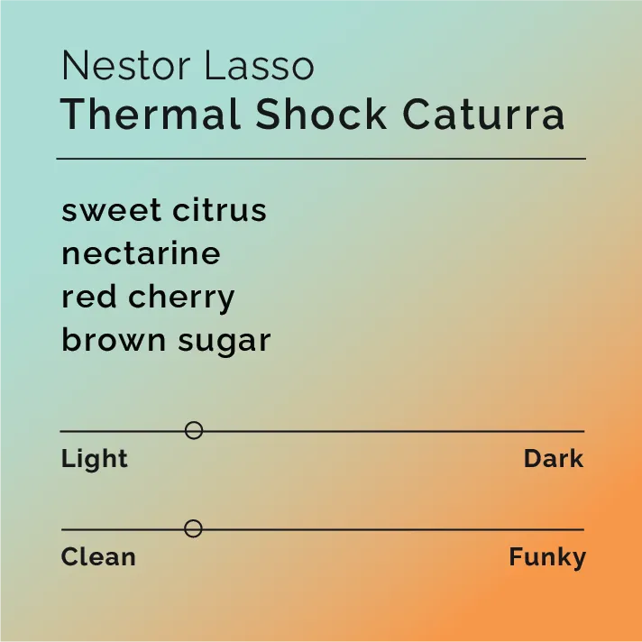 Nestor Lasso - Thermal Shock Caturra — product reference supplied with the Black & White Coffee Roasters listing.