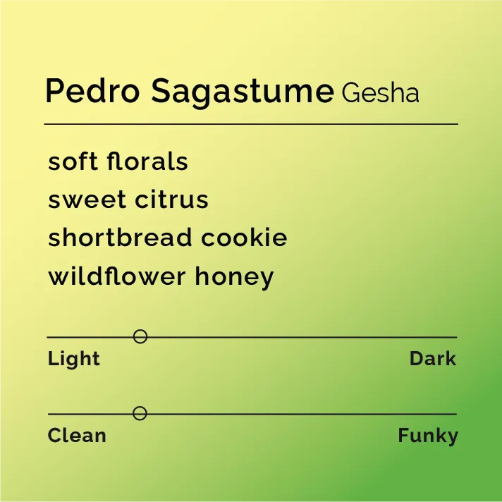 Pedro Sagastume - Gesha (2 bag sub only) — product reference supplied with the Black & White Coffee Roasters listing.