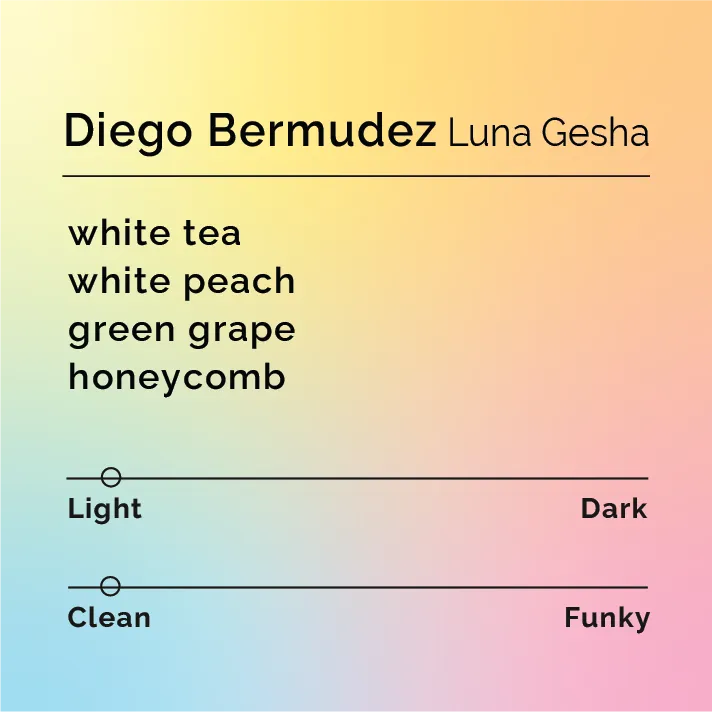 Diego Bermudez - Luna Gesha — product reference supplied with the Black & White Coffee Roasters listing.