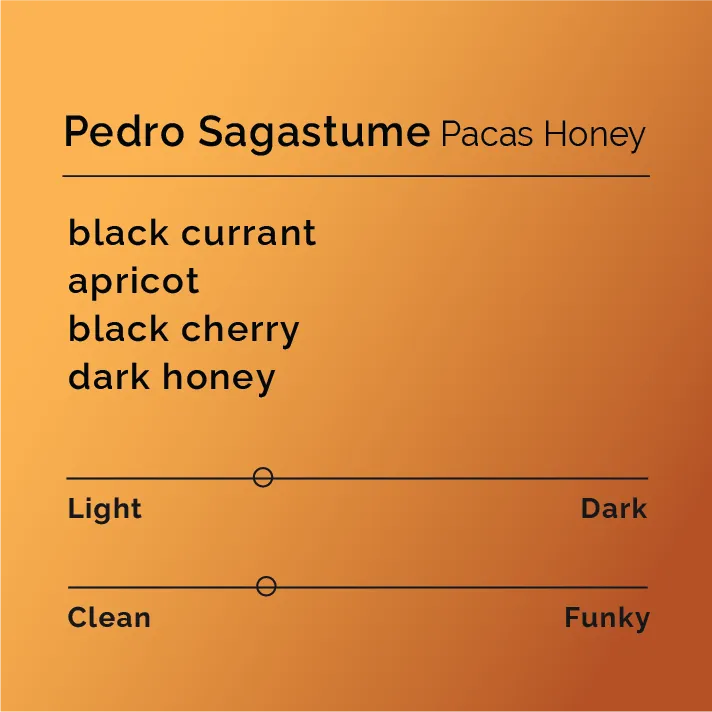 Pedro Sagastume - Pacas Honey — product reference supplied with the Black & White Coffee Roasters listing.