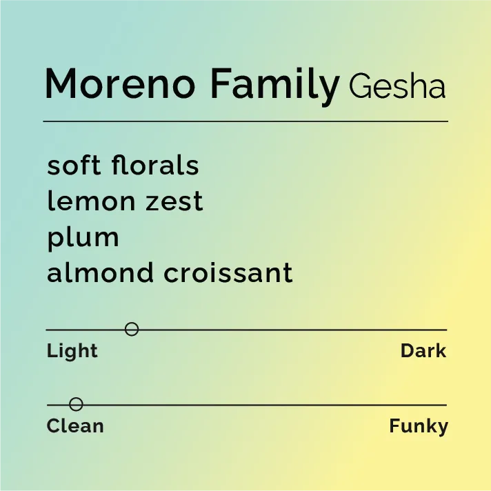 Moreno Family - Gesha — product reference supplied with the Black & White Coffee Roasters listing.