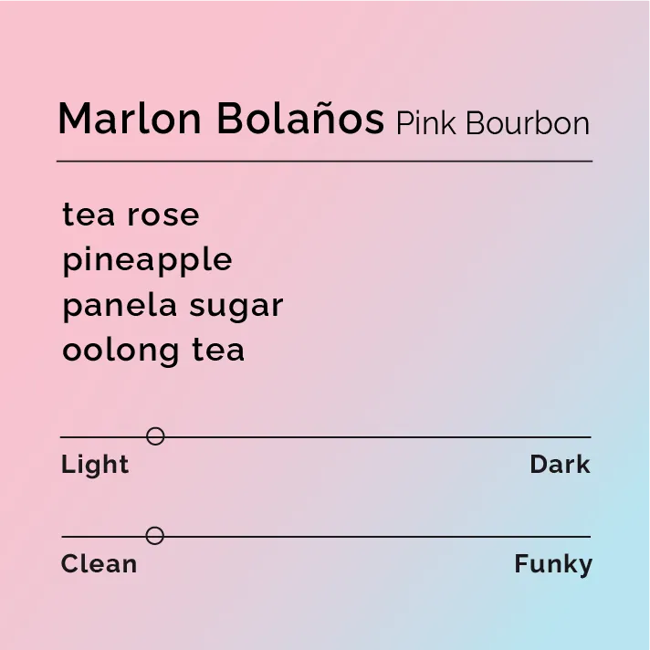 Marlon Bolaños - Pink Bourbon — product reference supplied with the Black & White Coffee Roasters listing.