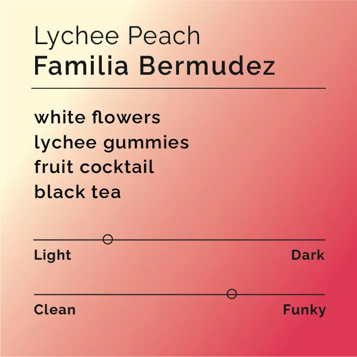 Familia Bermudez - Lychee Peach — product reference supplied with the Black & White Coffee Roasters listing.
