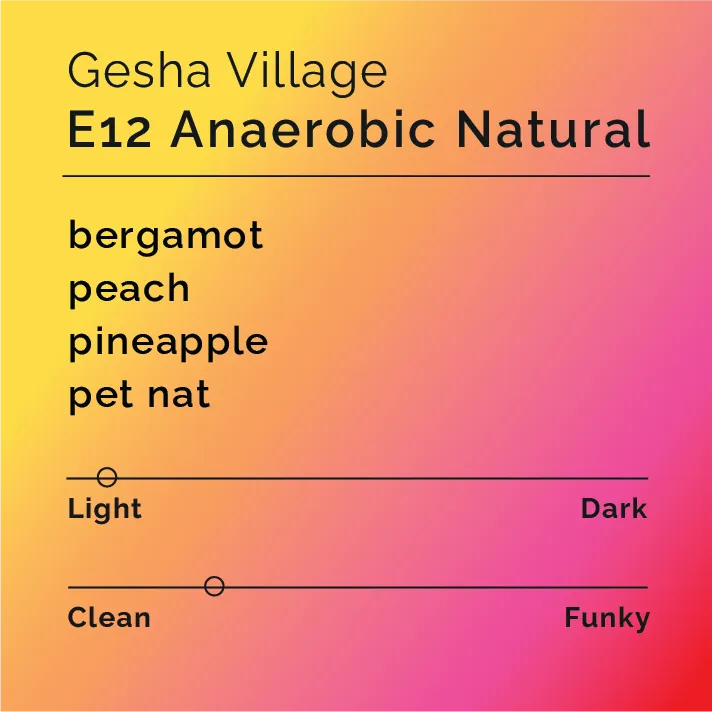 Gesha Village - E12 Anaerobic Natural — product reference supplied with the Black & White Coffee Roasters listing.