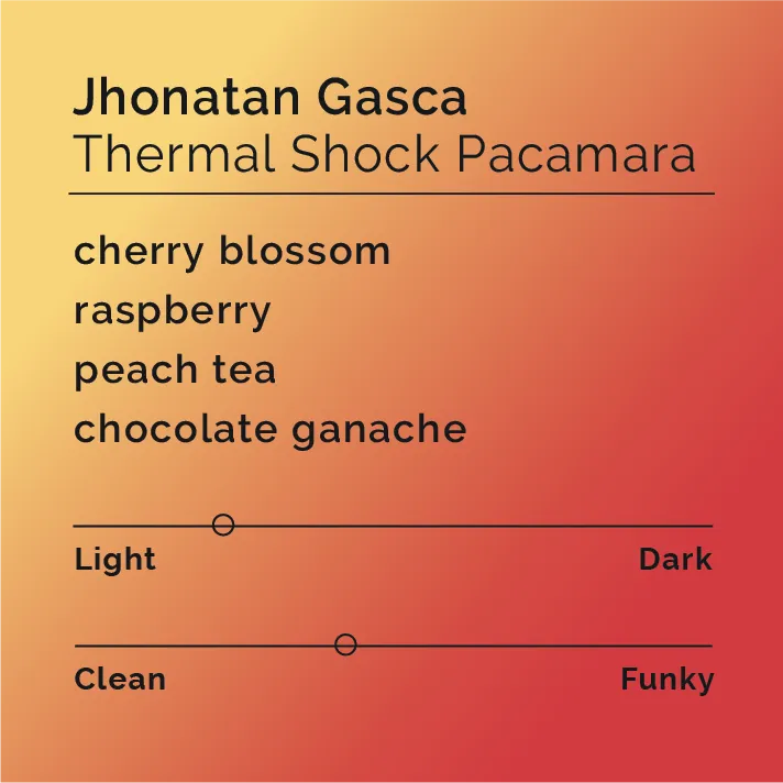 Jhonatan Gasca - Thermal Shock Pacamara — product reference supplied with the Black & White Coffee Roasters listing.