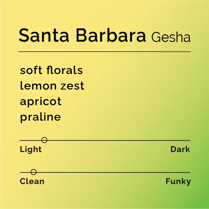 Santa Barbara - Gesha — product reference supplied with the Black & White Coffee Roasters listing.