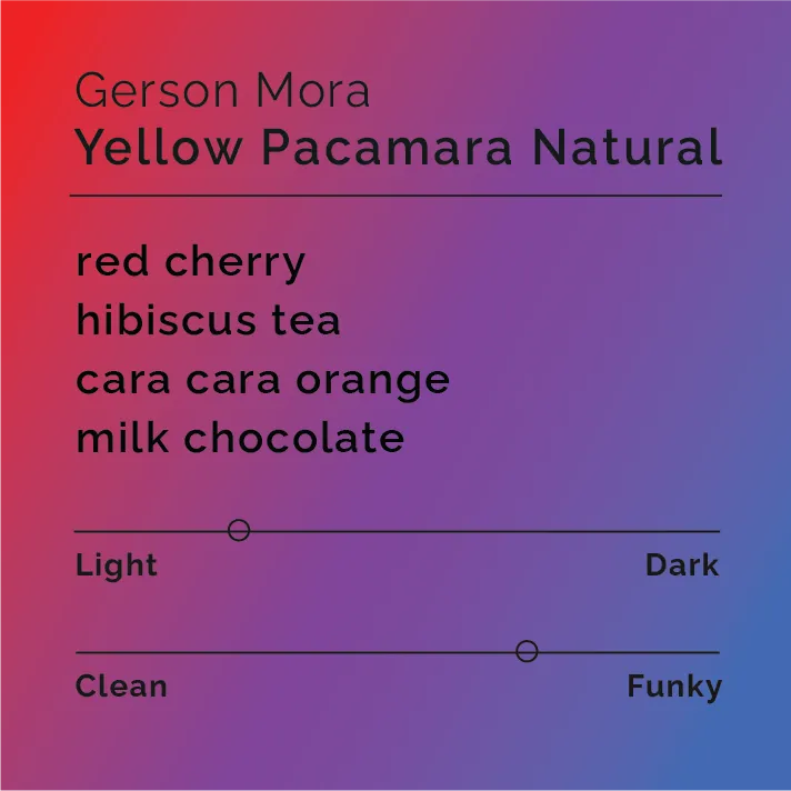 Gerson Mora - Yellow Pacamara Natural — product reference supplied with the Black & White Coffee Roasters listing.