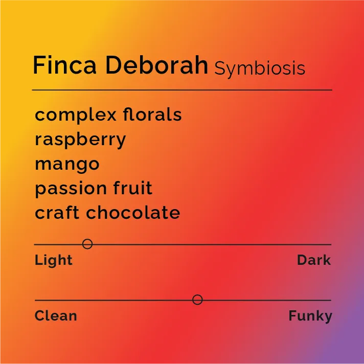 Finca Deborah - Symbiosis — product reference supplied with the Black & White Coffee Roasters listing.