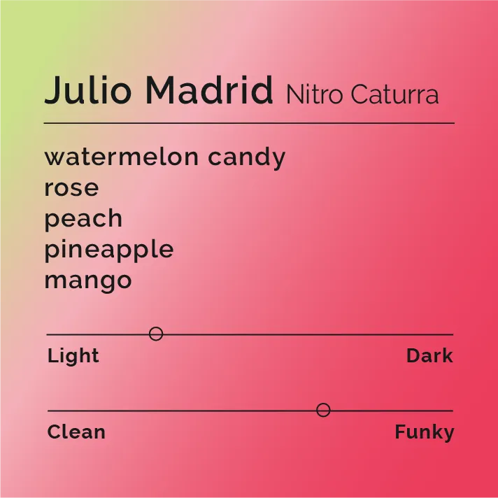 Julio Madrid - Nitro Caturra — product reference supplied with the Black & White Coffee Roasters listing.