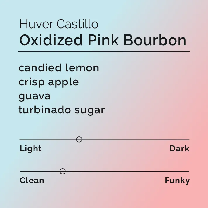 Huver Castillo - Oxidized Pink Bourbon — product reference supplied with the Black & White Coffee Roasters listing.