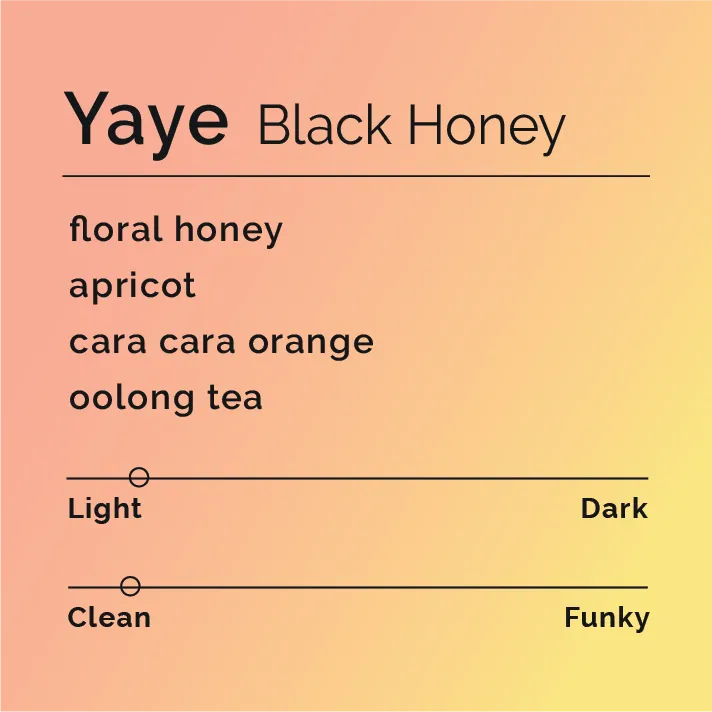 Yaye - Black Honey — product reference supplied with the Black & White Coffee Roasters listing.