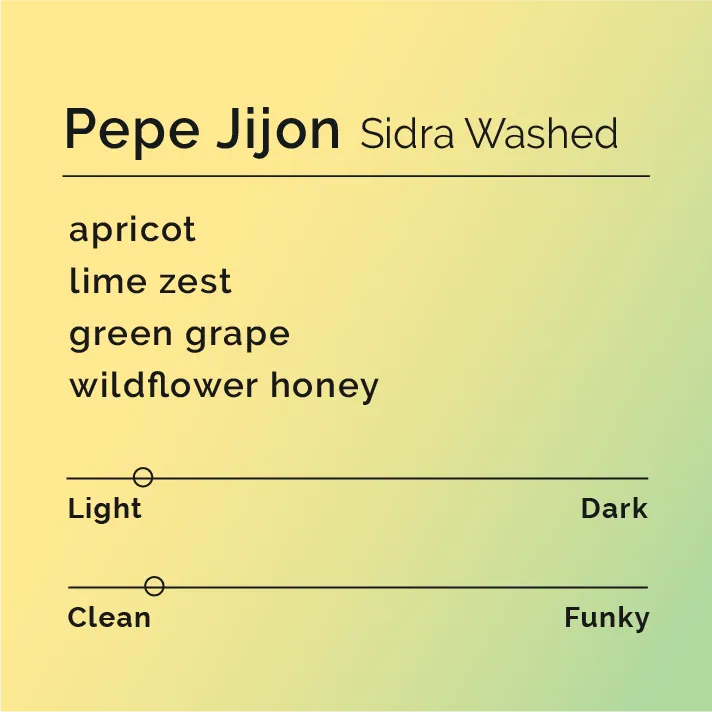 Pepe Jijon - Sidra Washed — product reference supplied with the Black & White Coffee Roasters listing.