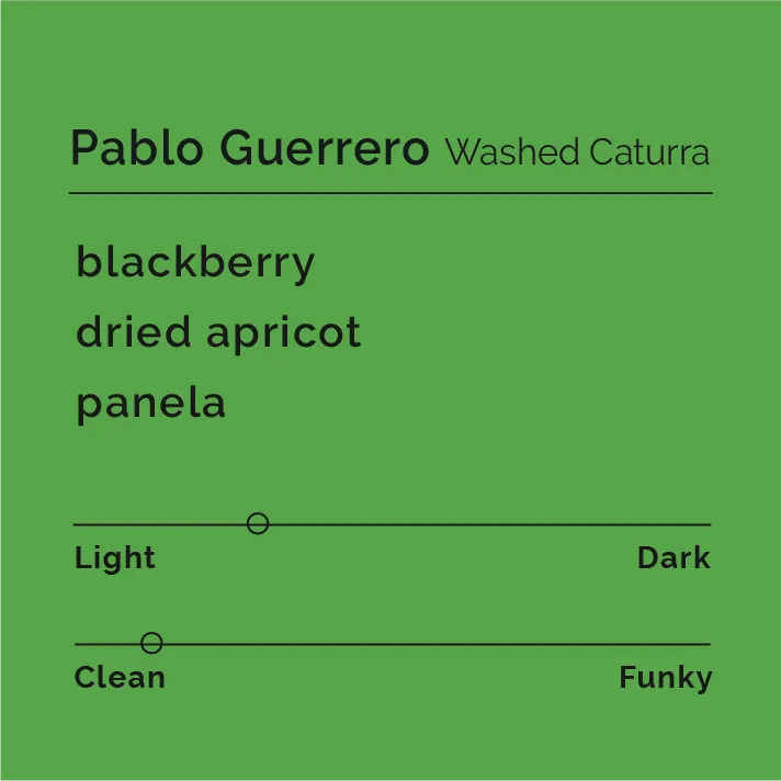 Pablo Guerrero - Washed Caturra — product reference supplied with the Black & White Coffee Roasters listing.