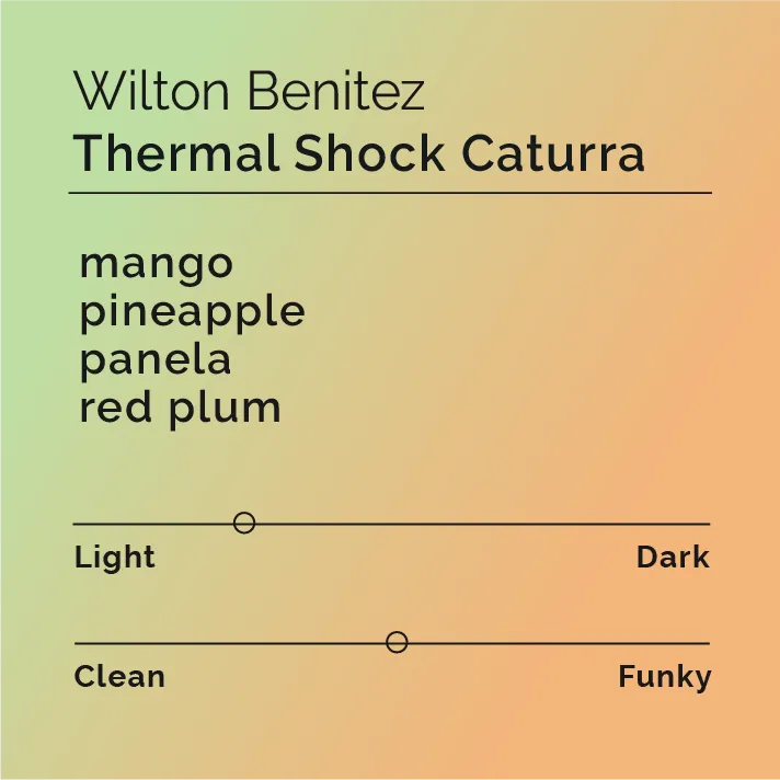 Wilton Benitez - Thermal Shock Caturra — product reference supplied with the Black & White Coffee Roasters listing.