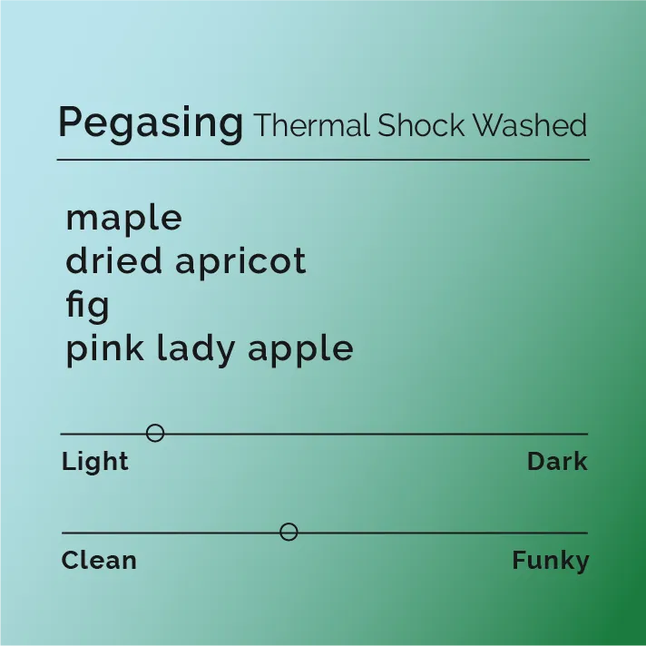 Pegasing - Thermal Shock Washed — product reference supplied with the Black & White Coffee Roasters listing.