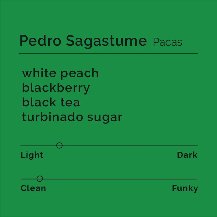 Pedro Sagastume - Pacas — product reference supplied with the Black & White Coffee Roasters listing.