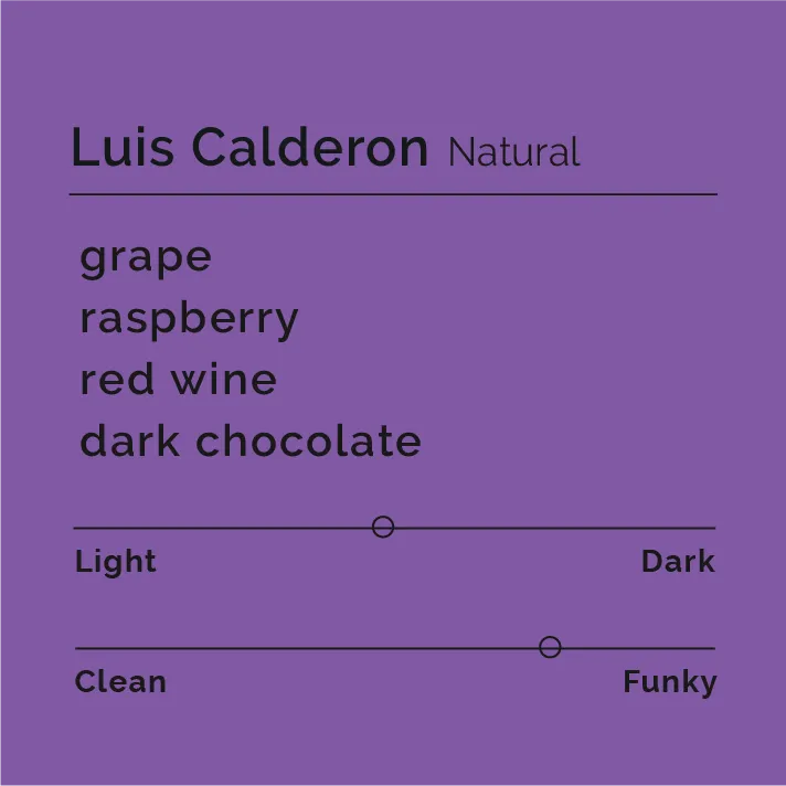 Luis Calderon - Natural — product reference supplied with the Black & White Coffee Roasters listing.