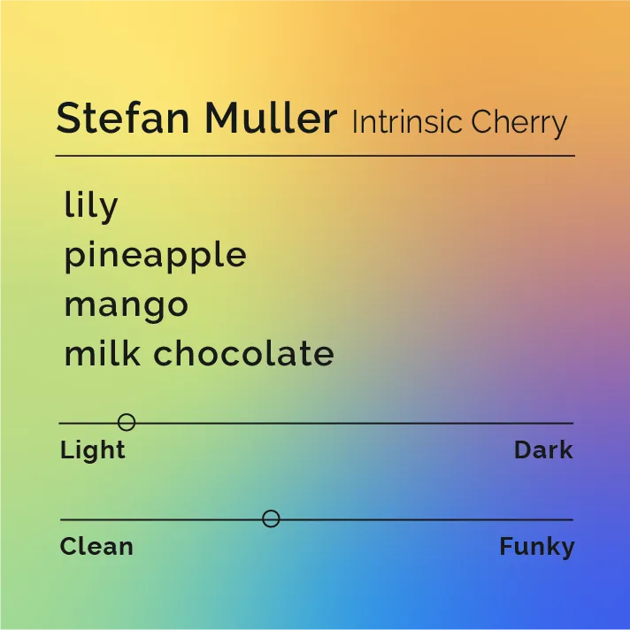 Stefan Muller - Intrinsic Cherry — product reference supplied with the Black & White Coffee Roasters listing.