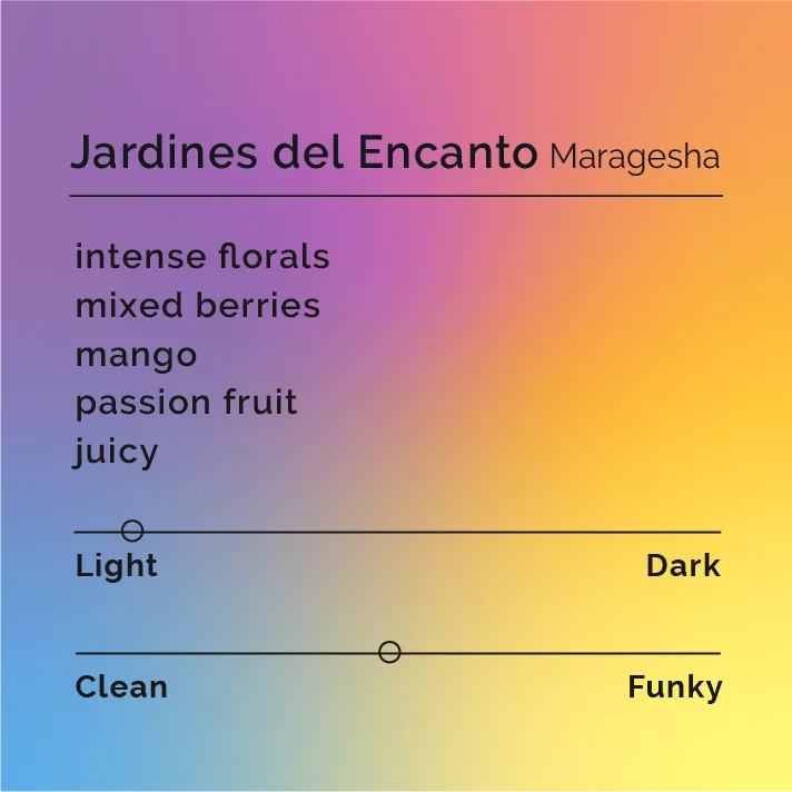 Jardines del Encanto - Maragesha — product reference supplied with the Black & White Coffee Roasters listing.