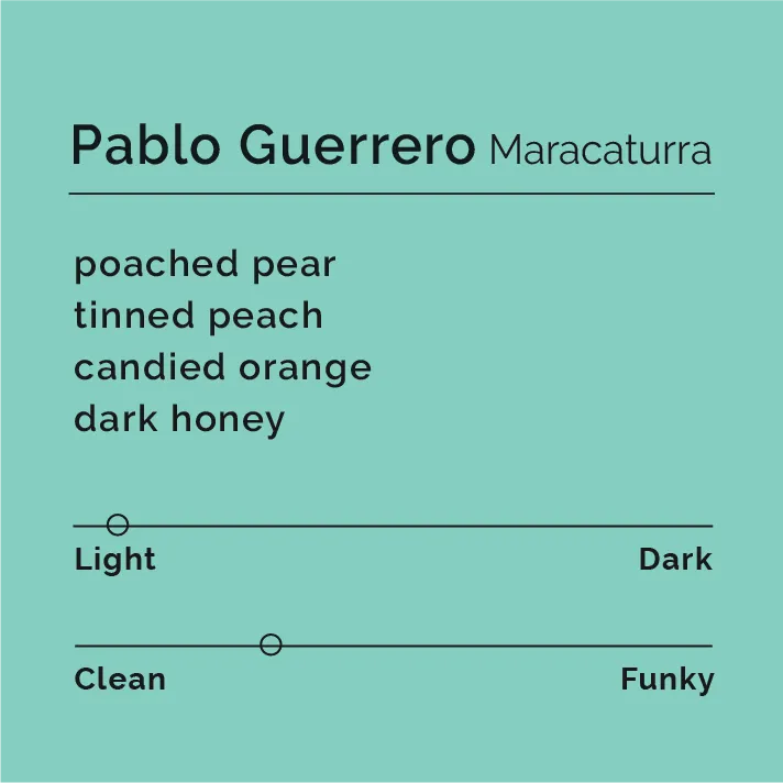 Pablo Guerrero - Maracaturra — product reference supplied with the Black & White Coffee Roasters listing.