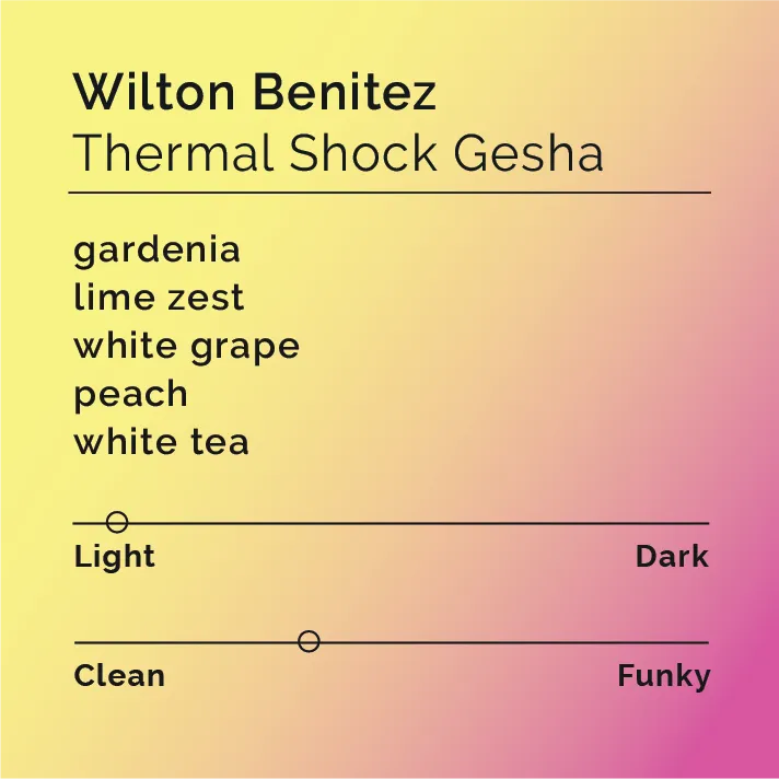 Wilton Benitez - Thermal Shock Gesha — product reference supplied with the Black & White Coffee Roasters listing.