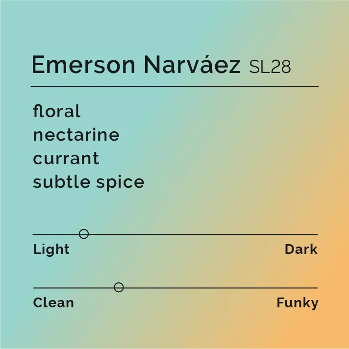 Emerson Narváez - SL28 — product reference supplied with the Black & White Coffee Roasters listing.