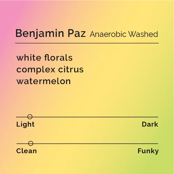Benjamin Paz - Anaerobic Washed — product reference supplied with the Black & White Coffee Roasters listing.