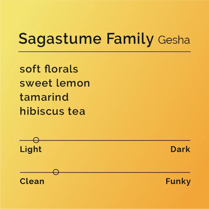 Sagastume Family - Gesha — product reference supplied with the Black & White Coffee Roasters listing.