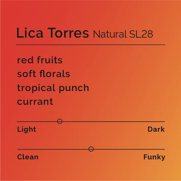 Lica Torres - Natural SL28 — product reference supplied with the Black & White Coffee Roasters listing.