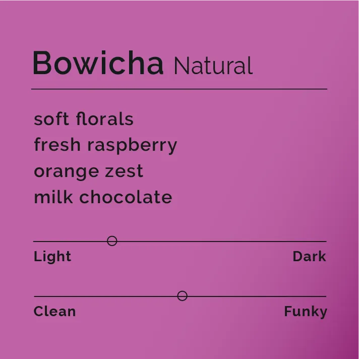 Bowicha - Natural — product reference supplied with the Black & White Coffee Roasters listing.
