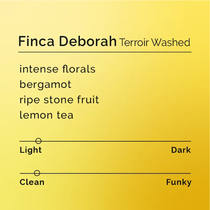 Finca Deborah - Terroir Gesha — product reference supplied with the Black & White Coffee Roasters listing.