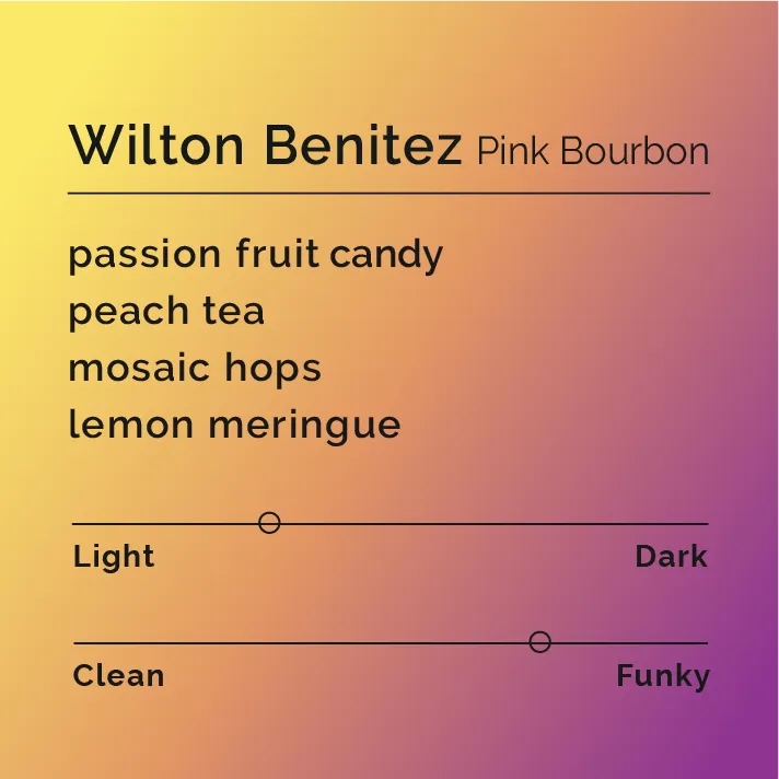 Wilton Benitez - Pink Bourbon — product reference supplied with the Black & White Coffee Roasters listing.
